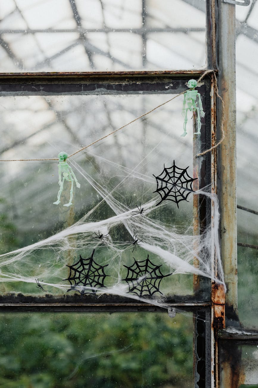 greenhouse window decorated for halloween